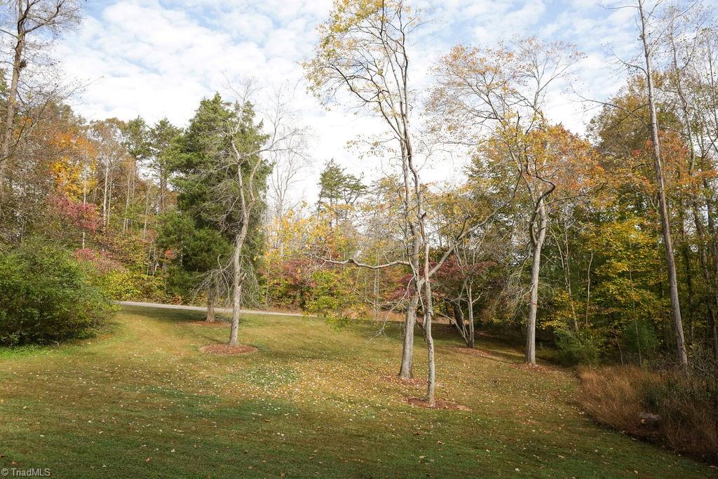 731 Mineral Springs Road Madison, NC 27025 - Photo 10 of 49