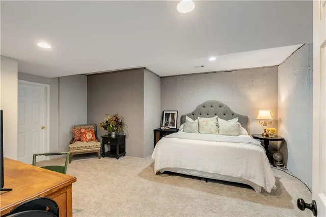 a view of a garden with plants