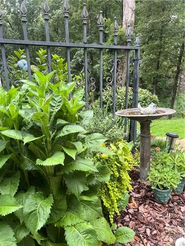 $739,000 | 94 Dawson Drive, Dawsonville, GA 30534