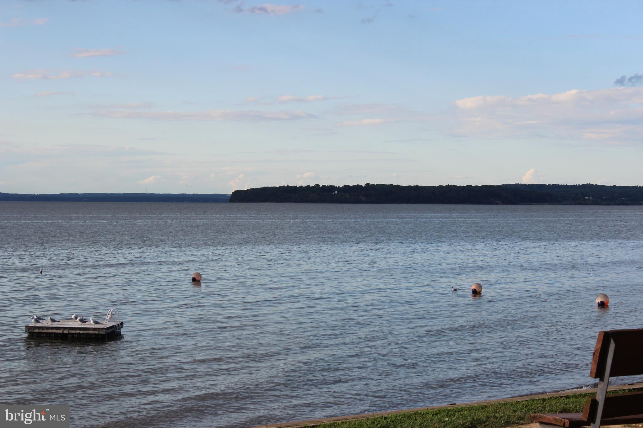 73 Drift Way Earleville, MD 21919 - Photo 29 of 33 a view of a lake view