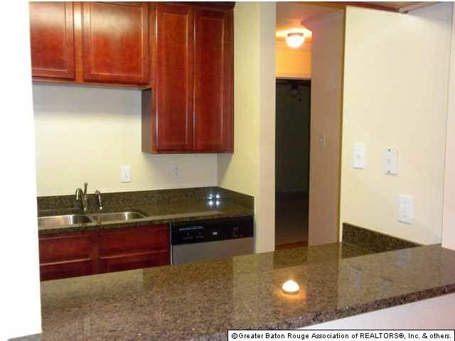 3000 July Street, Unit 1106 Baton Rouge, LA 70802 - Photo 6 of 15 Gallery Image 6