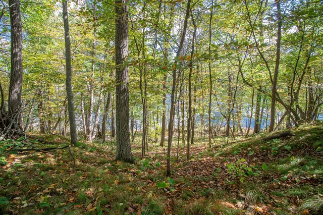 $399,900 | 5465 Woods Bay Drive Northeast, Outing, MN 56662