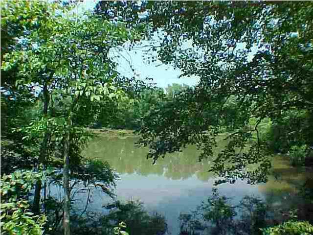 236 Sam Johnson Road Georgetown, TN 37336 - Photo 5 of 9 Additional Photo