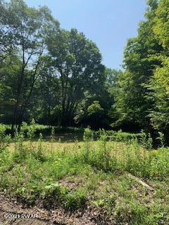 Lot 4-101 Nevin Road Newfoundland, PA 18445 - Photo 1 of 2