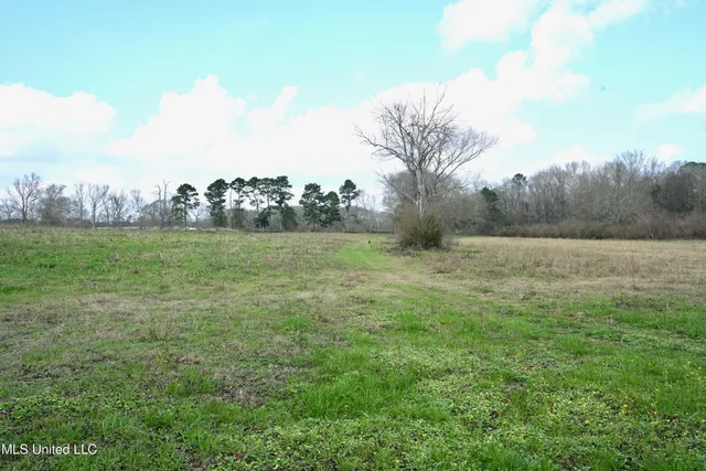 $136,000 | Farmer Road, Smithdale, MS 39664