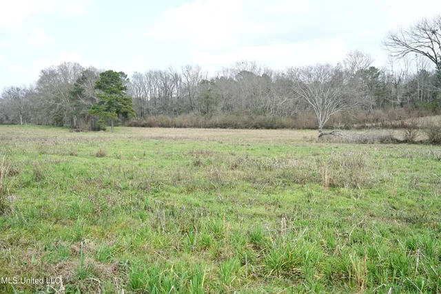 $136,000 | Farmer Road, Smithdale, MS 39664
