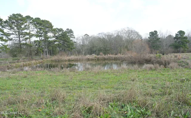 $136,000 | Farmer Road, Smithdale, MS 39664