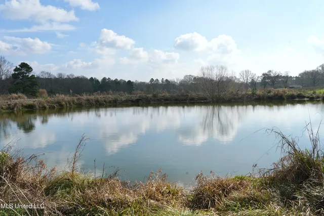 $136,000 | Farmer Road, Smithdale, MS 39664