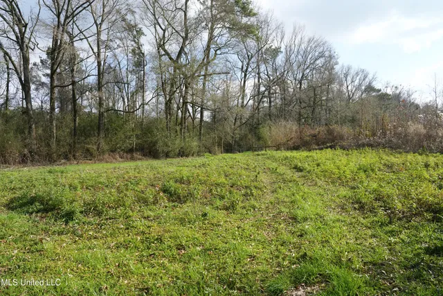 $136,000 | Farmer Road, Smithdale, MS 39664