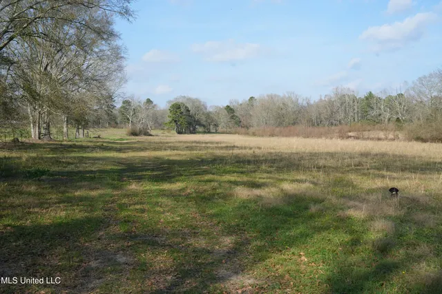 $136,000 | Farmer Road, Smithdale, MS 39664
