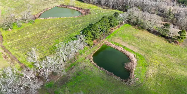 $136,000 | Farmer Road, Smithdale, MS 39664