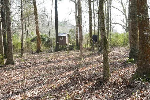 $136,000 | Farmer Road, Smithdale, MS 39664