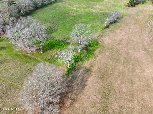 $136,000 | Farmer Road, Smithdale, MS 39664