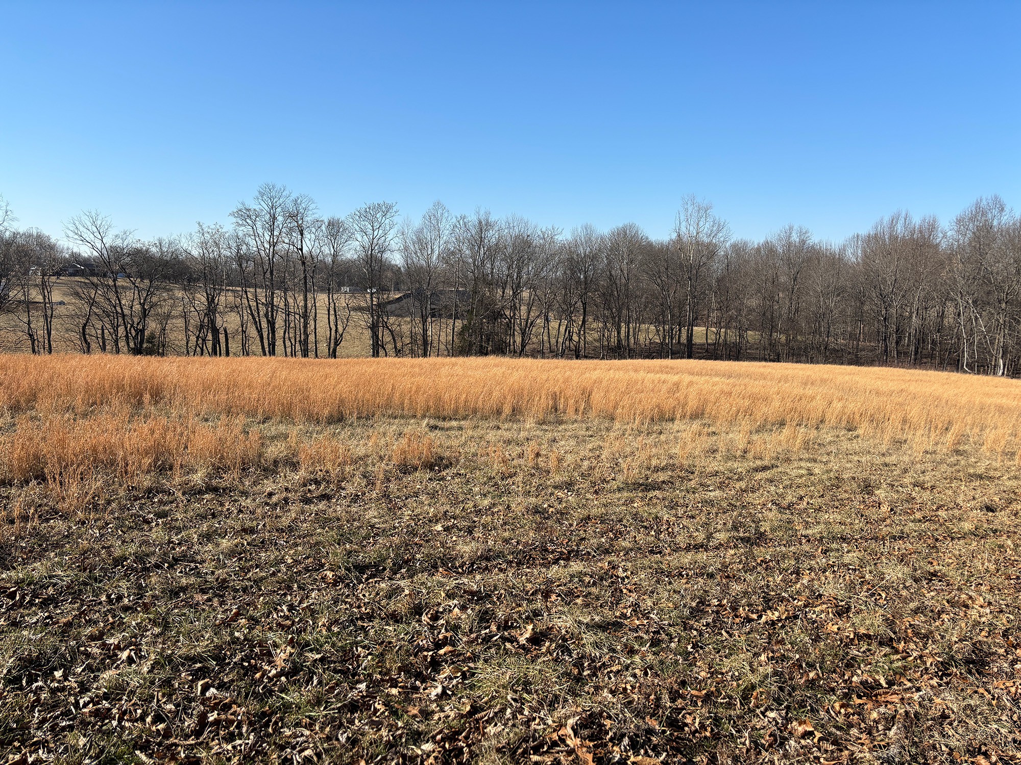 2999 Union Camp Road Lafayette, TN 37083 - Photo 3 of 12 Gallery Image 3