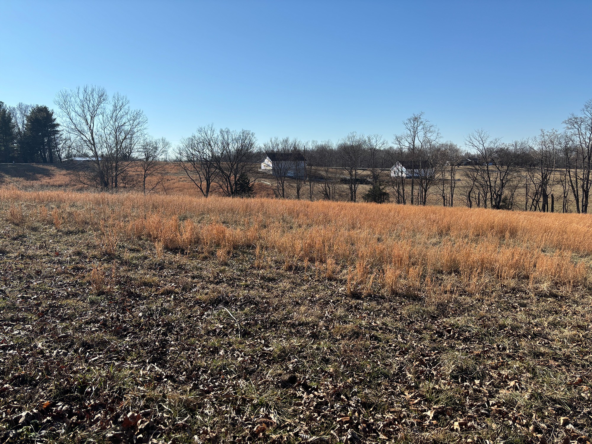 2999 Union Camp Road Lafayette, TN 37083 - Photo 5 of 12 Gallery Image 5