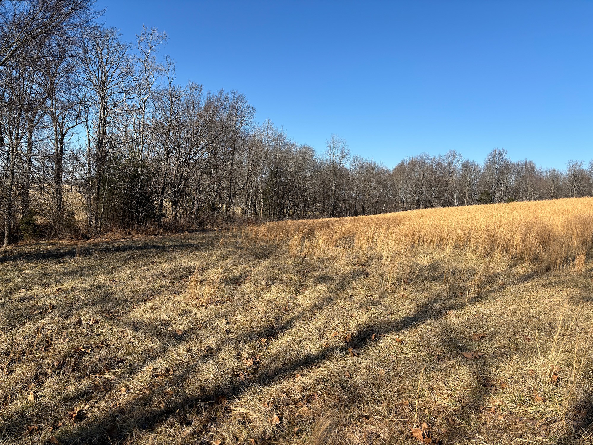 2999 Union Camp Road Lafayette, TN 37083 - Photo 6 of 12 Gallery Image 6