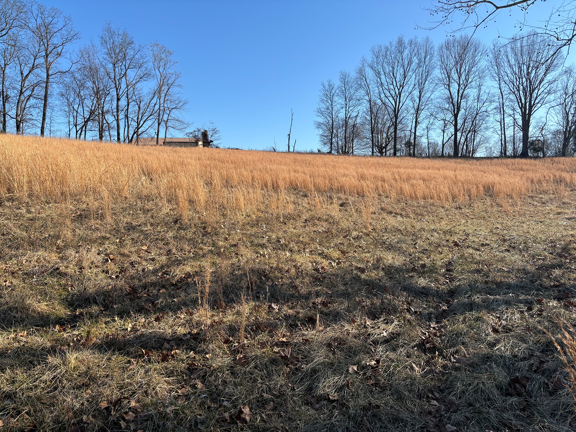 2999 Union Camp Road Lafayette, TN 37083 - Photo 7 of 12 Gallery Image 7