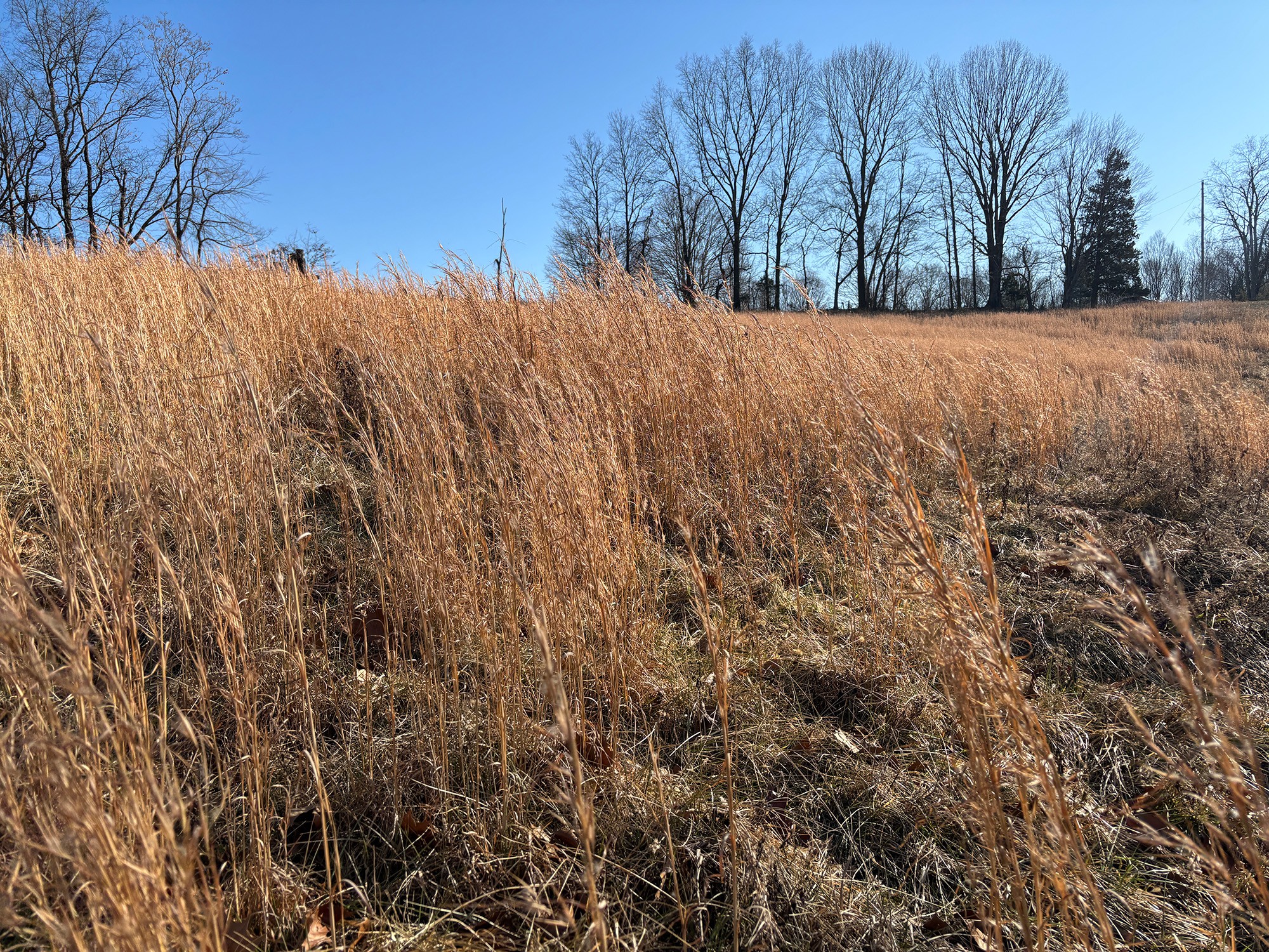 2999 Union Camp Road Lafayette, TN 37083 - Photo 8 of 12 Gallery Image 8