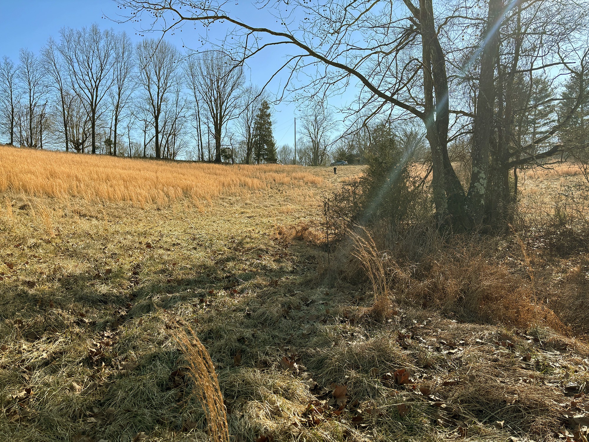 2999 Union Camp Road Lafayette, TN 37083 - Photo 9 of 12 Gallery Image 9