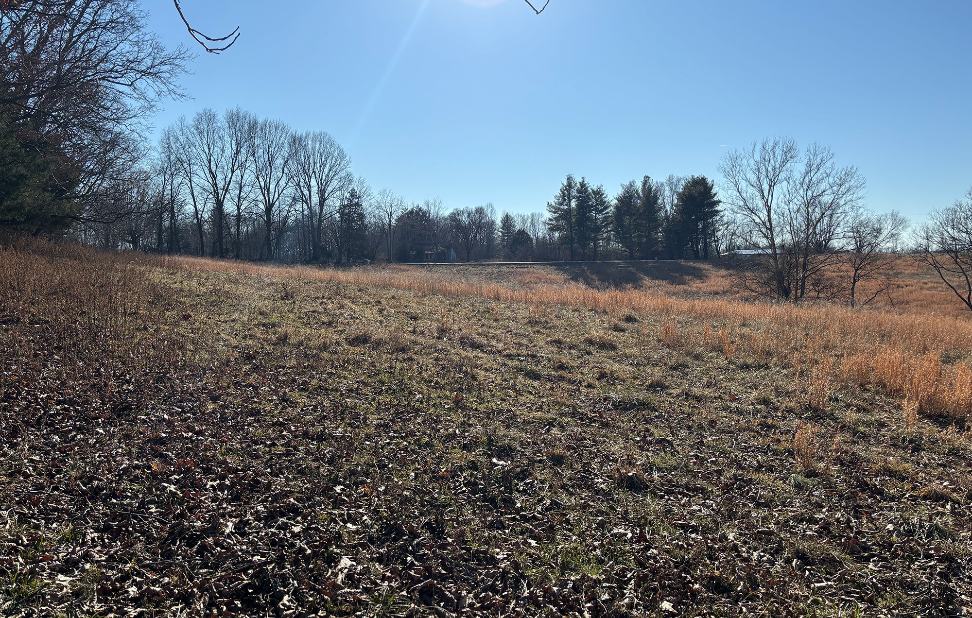2999 Union Camp Road Lafayette, TN 37083 - Photo 10 of 12 Gallery Image 10