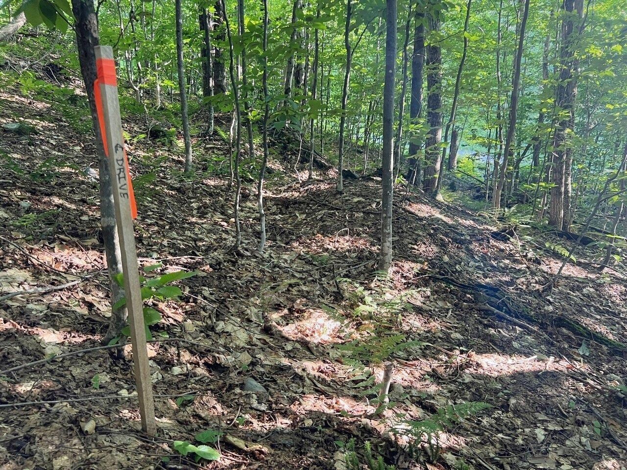 Lot 3 Cider Mountain Road Warren, VT 05674 - Photo 23 of 26