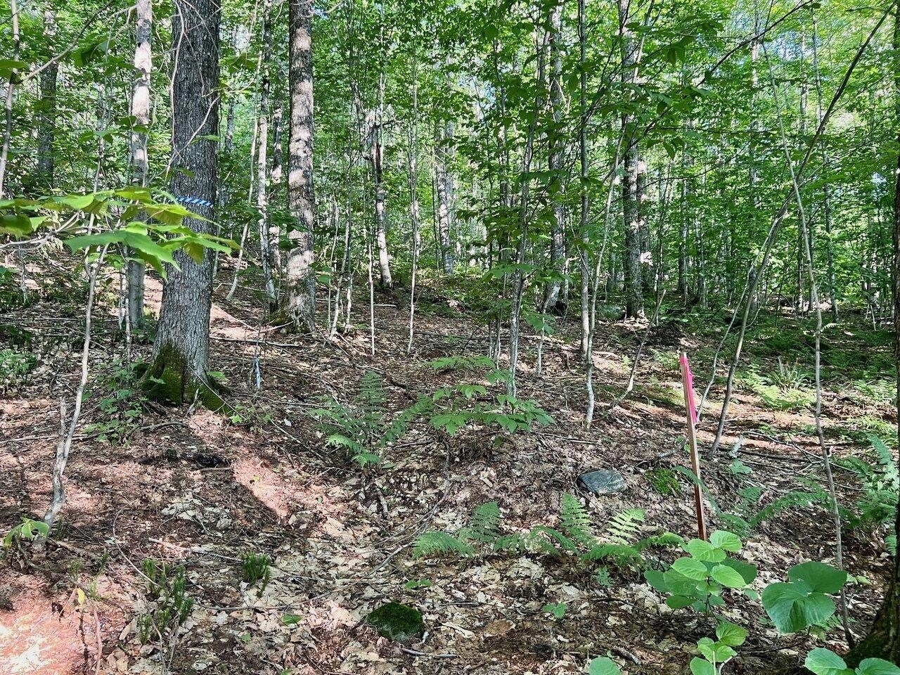 Lot 3 Cider Mountain Road Warren, VT 05674 - Photo 3 of 26