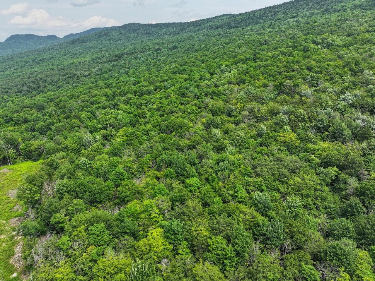 Lot 3 Cider Mountain Road Warren, VT 05674 - Photo 4 of 26