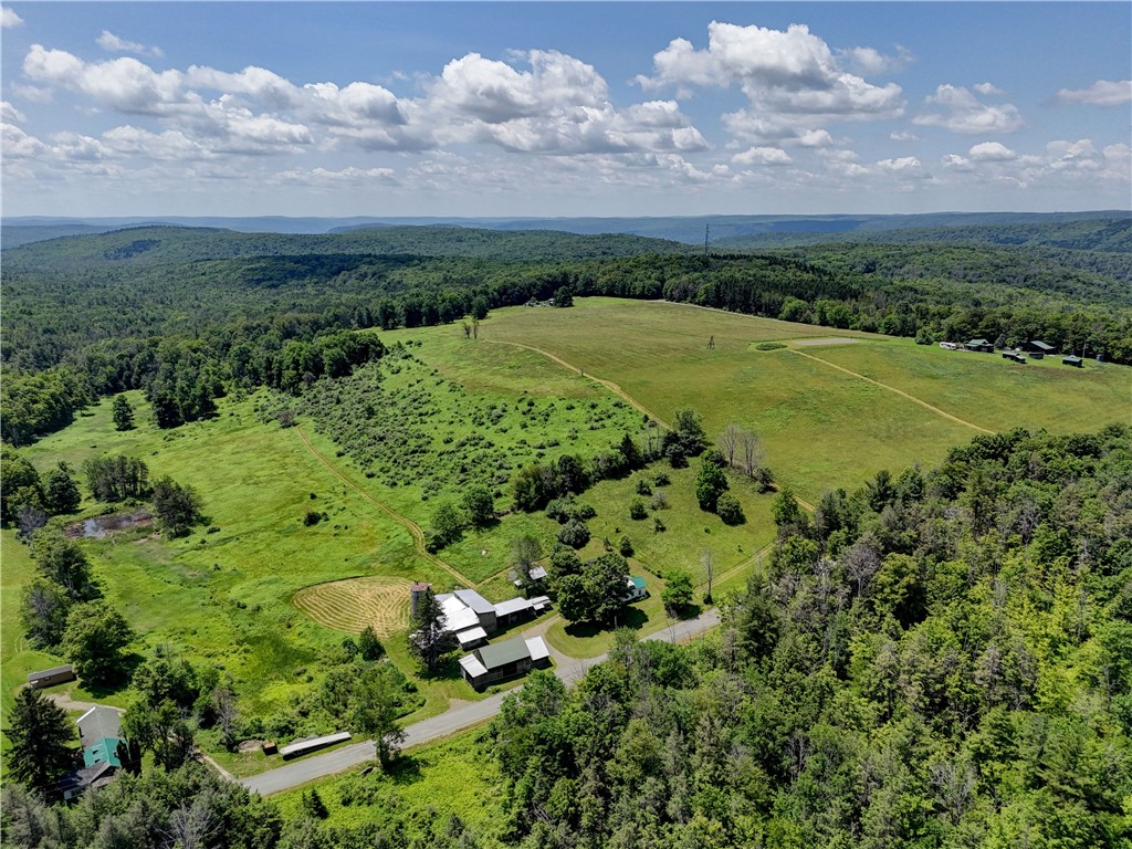 212 Hill Road Spencer, NY 14883 - Photo 37 of 45