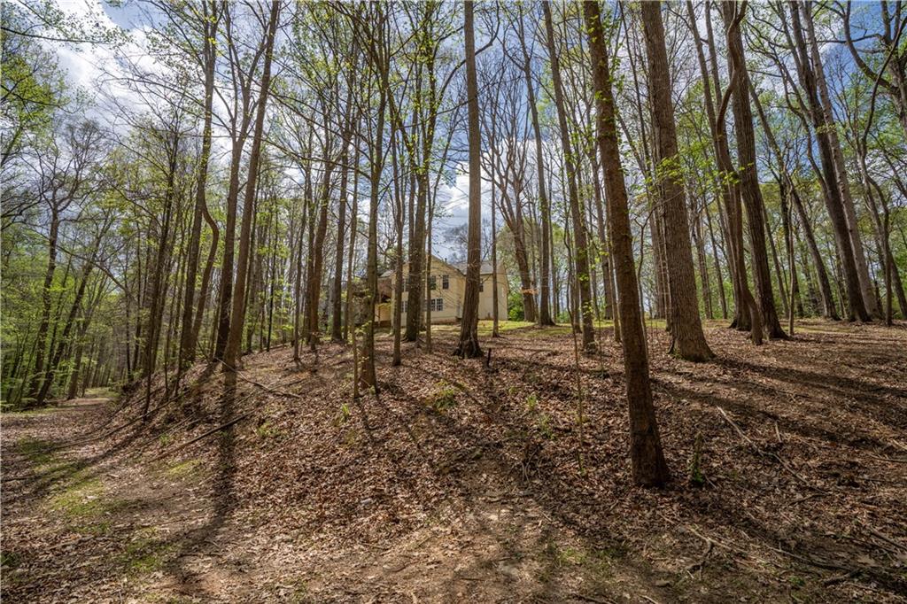 3724 Lexington Court Gainesville, GA 30504 - Photo 46 of 56 a view of a backyard of the house