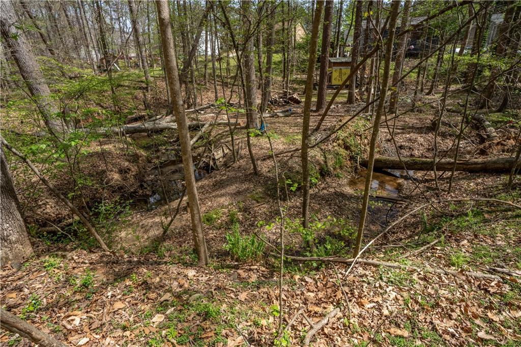 3724 Lexington Court Gainesville, GA 30504 - Photo 47 of 56