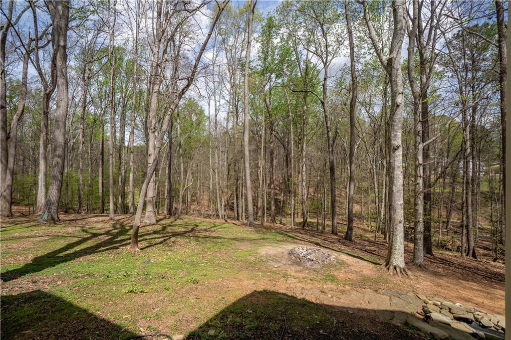3724 Lexington Court Gainesville, GA 30504 - Photo 49 of 56 a view of a backyard with trees