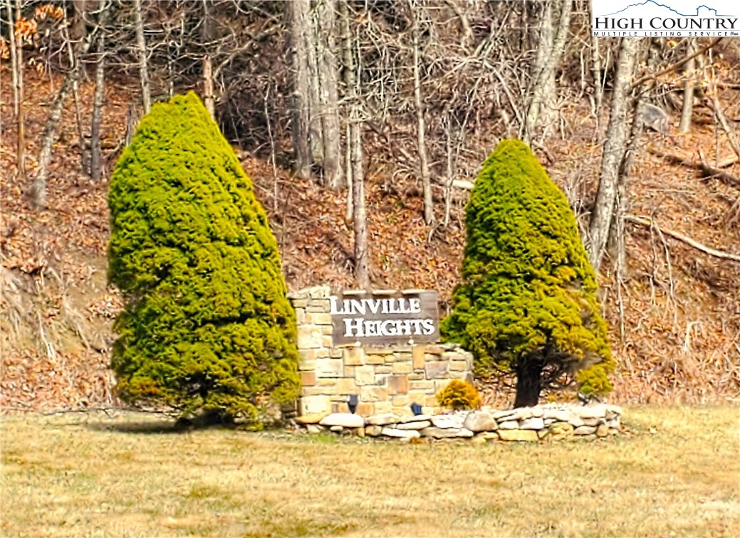 Lot 67 Linhigh Dr  