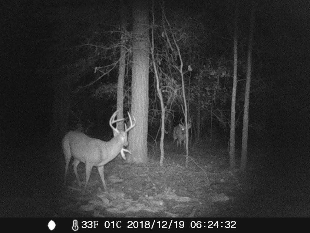 1634 Huttos Chapel Road Olar, SC 29843 - Photo 29 of 32