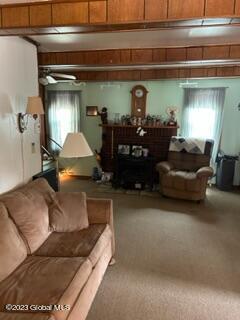 240 Fraternaland Road Paradox, NY 12858 - Photo 7 of 14 IMG_0466