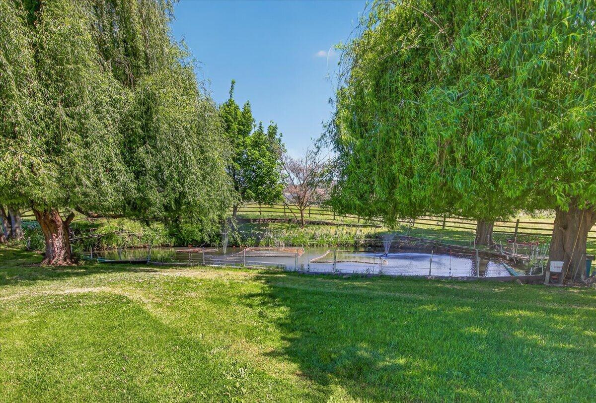 39 East Valley View Road Ashland, OR 97520 - Photo 47 of 73 56-56