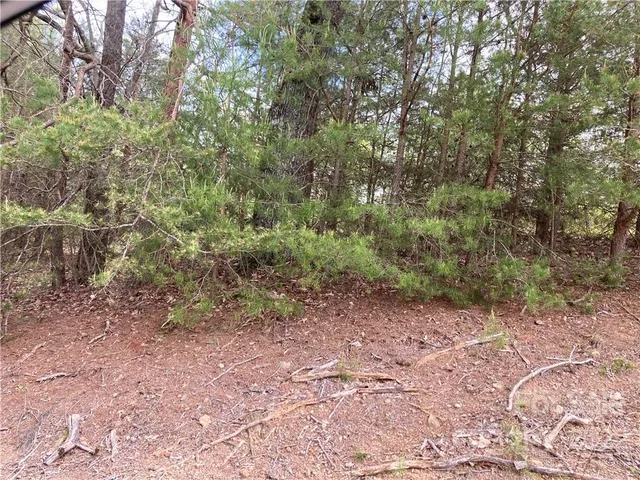 a view of a yard with a tree