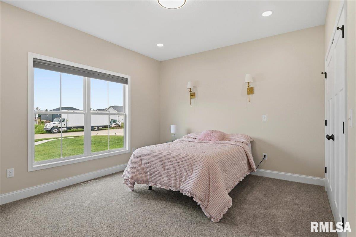 55 Firefly Court Chatham, IL 62629 - Photo 25 of 39