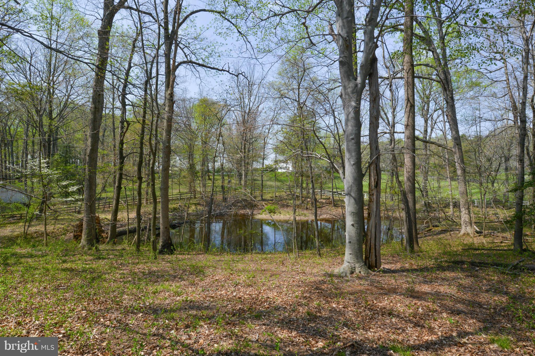 6505 Stallion Road Clifton, VA 20124 - Photo 29 of 30 Exterior (Rear)