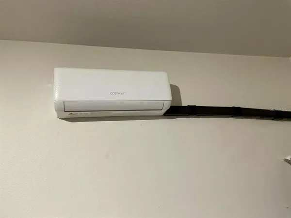 a view of a backyard with plants