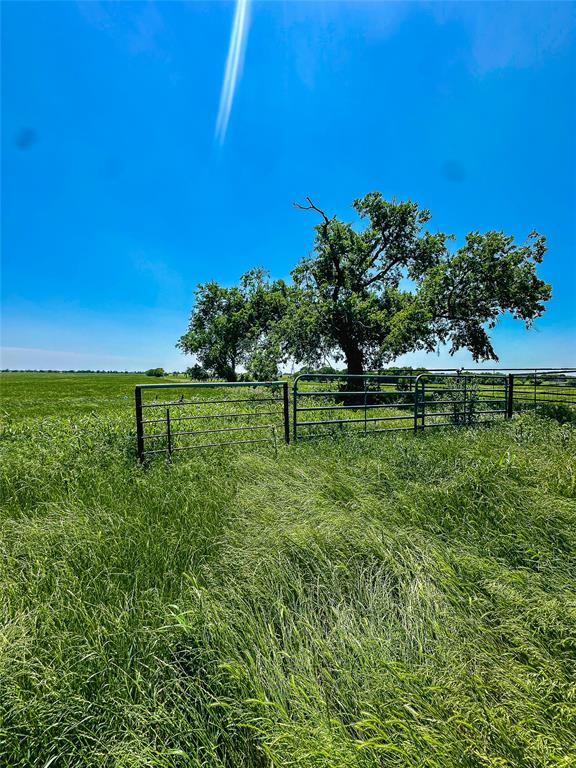 204 Valley View Valley View, TX 76272 - Photo 14 of 23 a green field with lots of trees in it