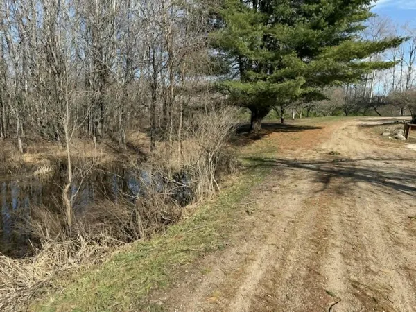 $380,000 | 21632 90th Avenue, Evart, MI 49631