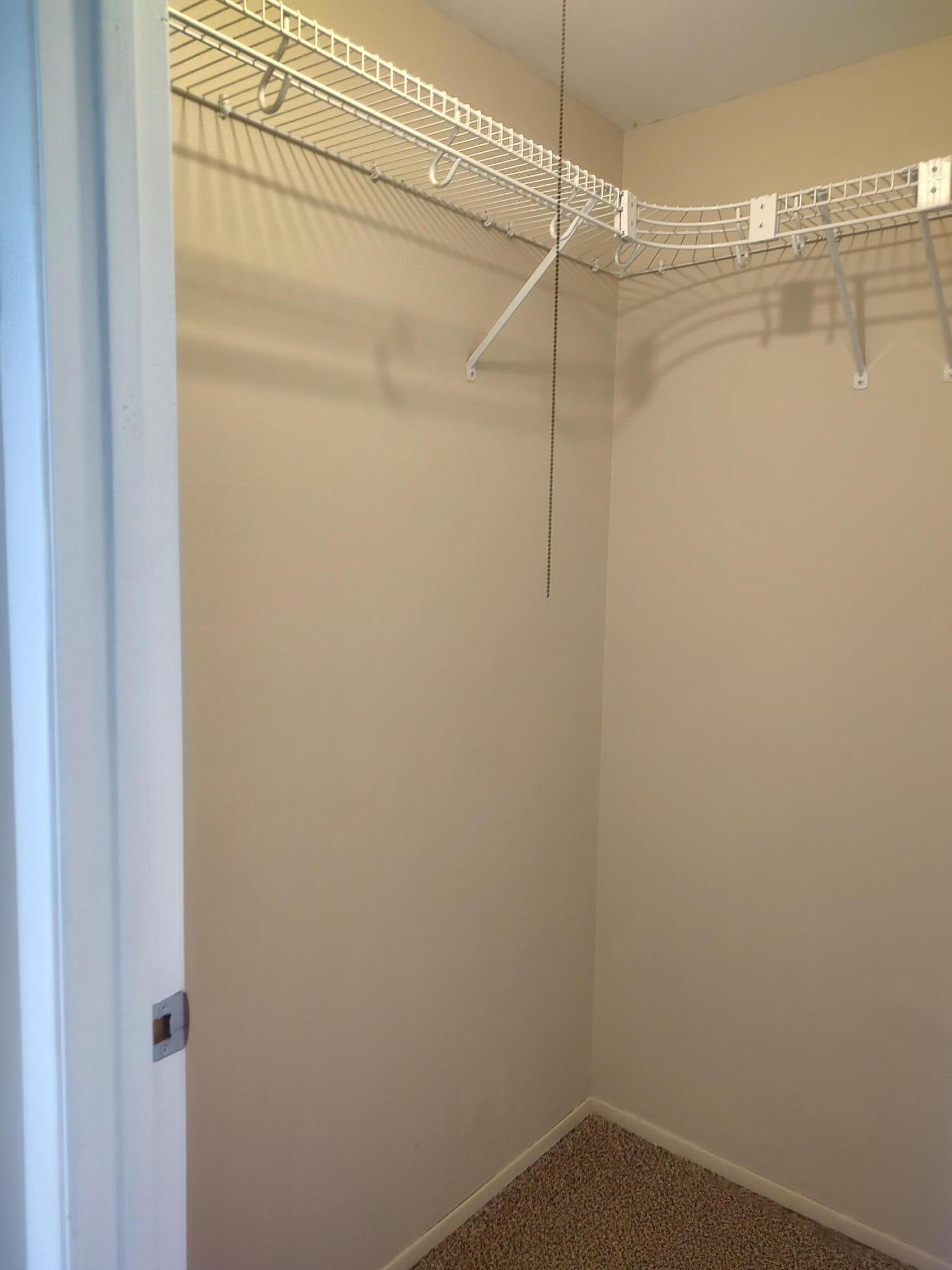 23402 Cranbrooke Drive Novi, MI 48375 - Photo 10 of 13 Walk in Closet
