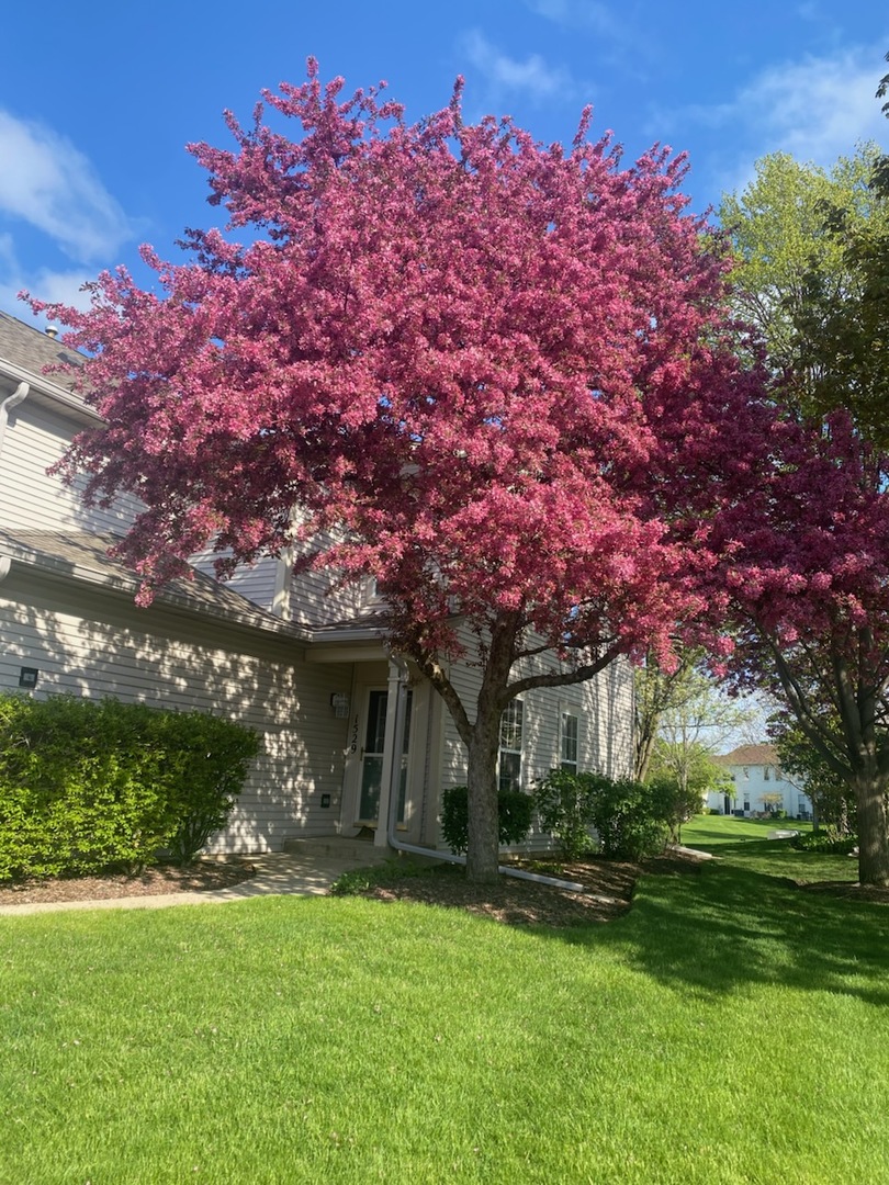 1529 Keystone Court Elgin, IL 60120 - Photo 22 of 22 a front view of a house with a garden
