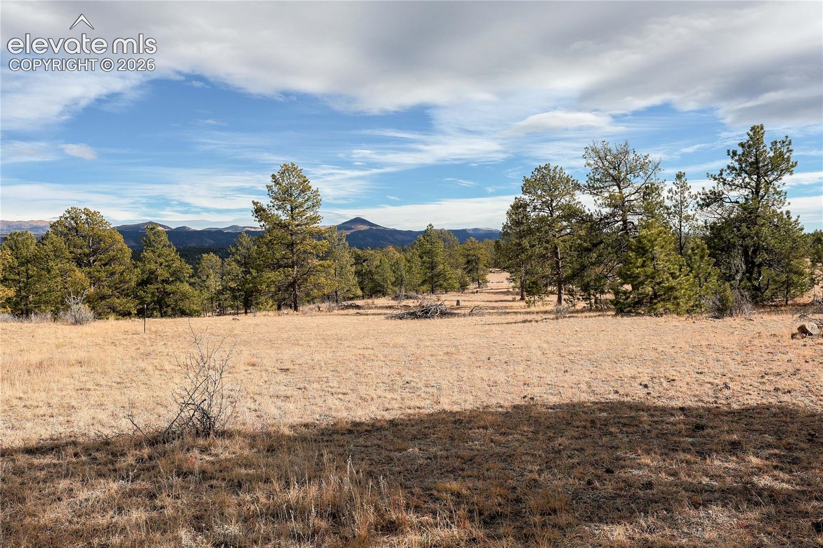 0 Twinkle Road Guffey, CO 80820 - Photo 12 of 20 Gallery Image 12