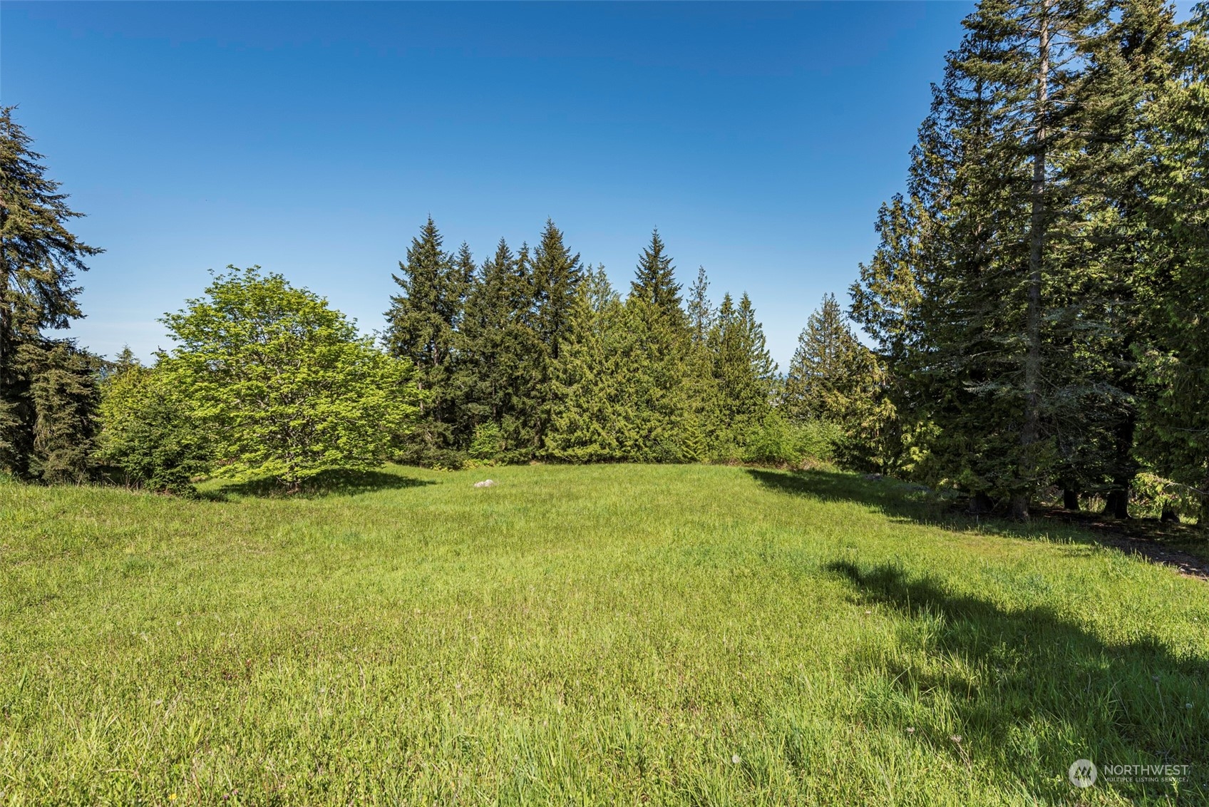 2-lot Fox Hollow Road Sequim, WA 98382 - Photo 14 of 23 Gallery Image 14