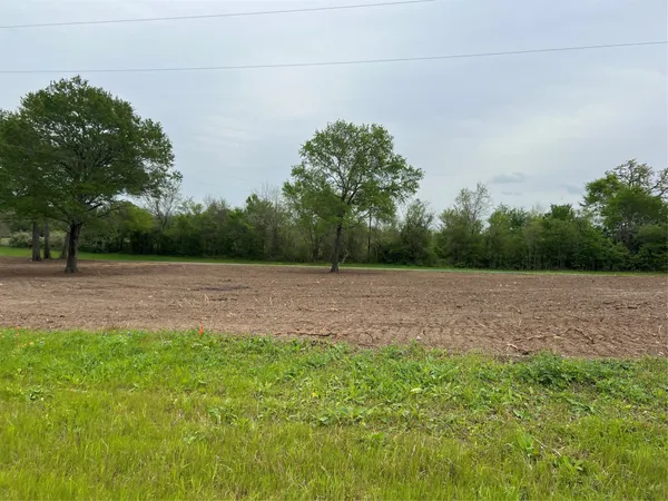 a view of backyard with green space