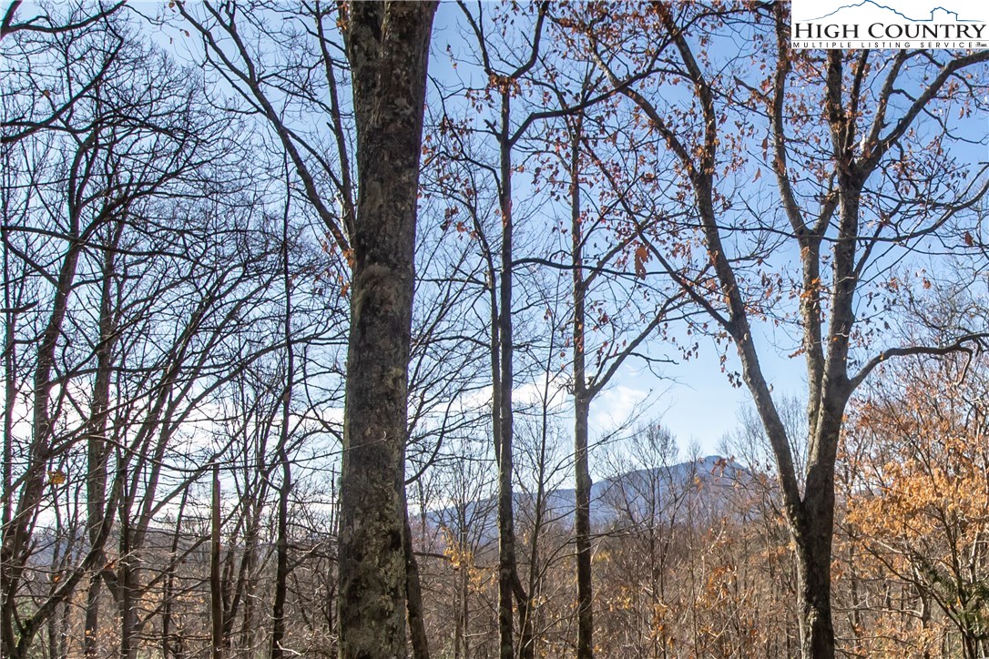314 High Willhays Road Boone, NC 28607 - Photo 14 of 30 Gallery Image 14