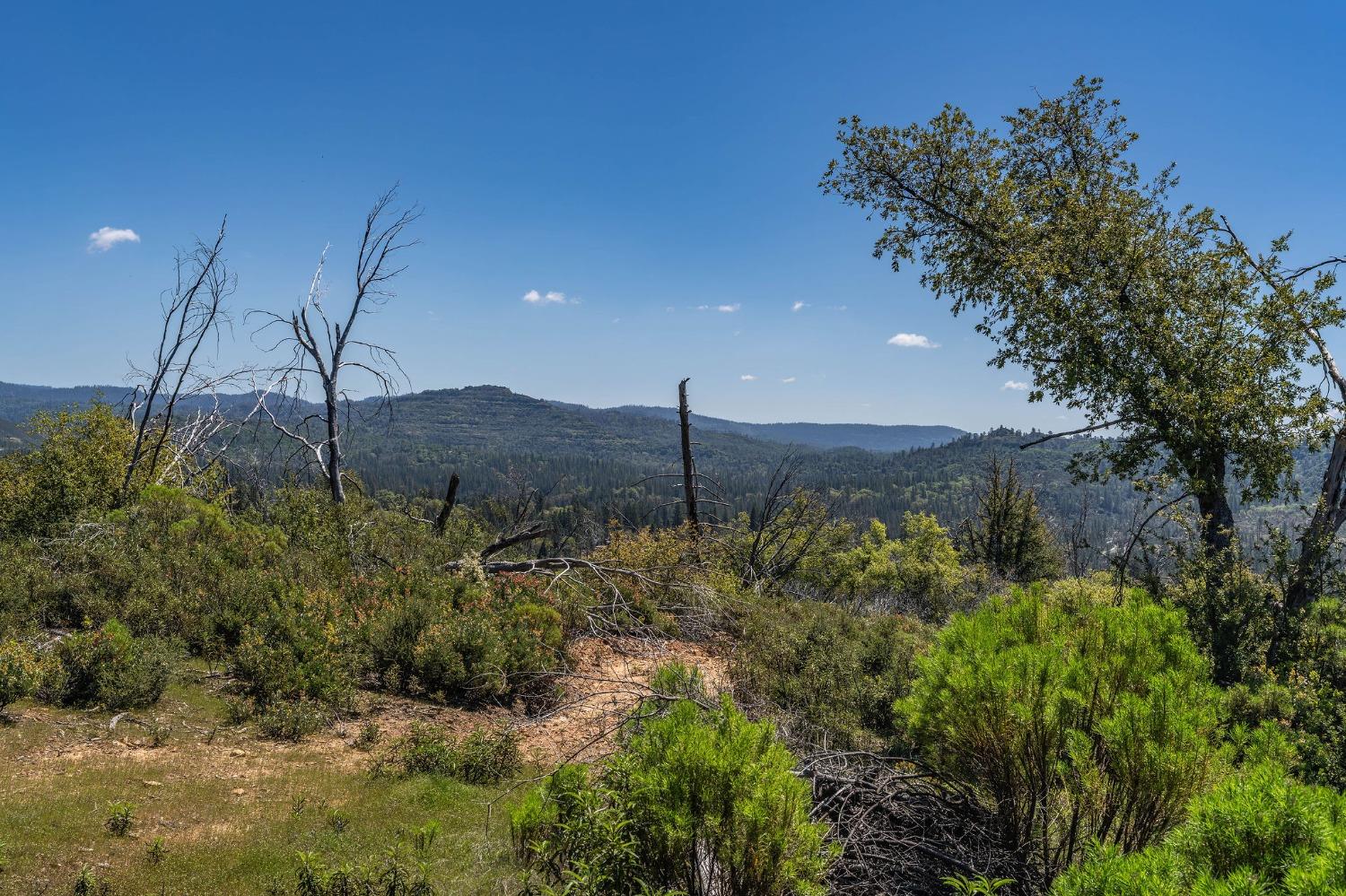 5901 Old Emigrant Trail Mountain Ranch, CA 95246 - Photo 11 of 27 a view of a backyard