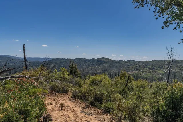 a view of a dry yard with green space