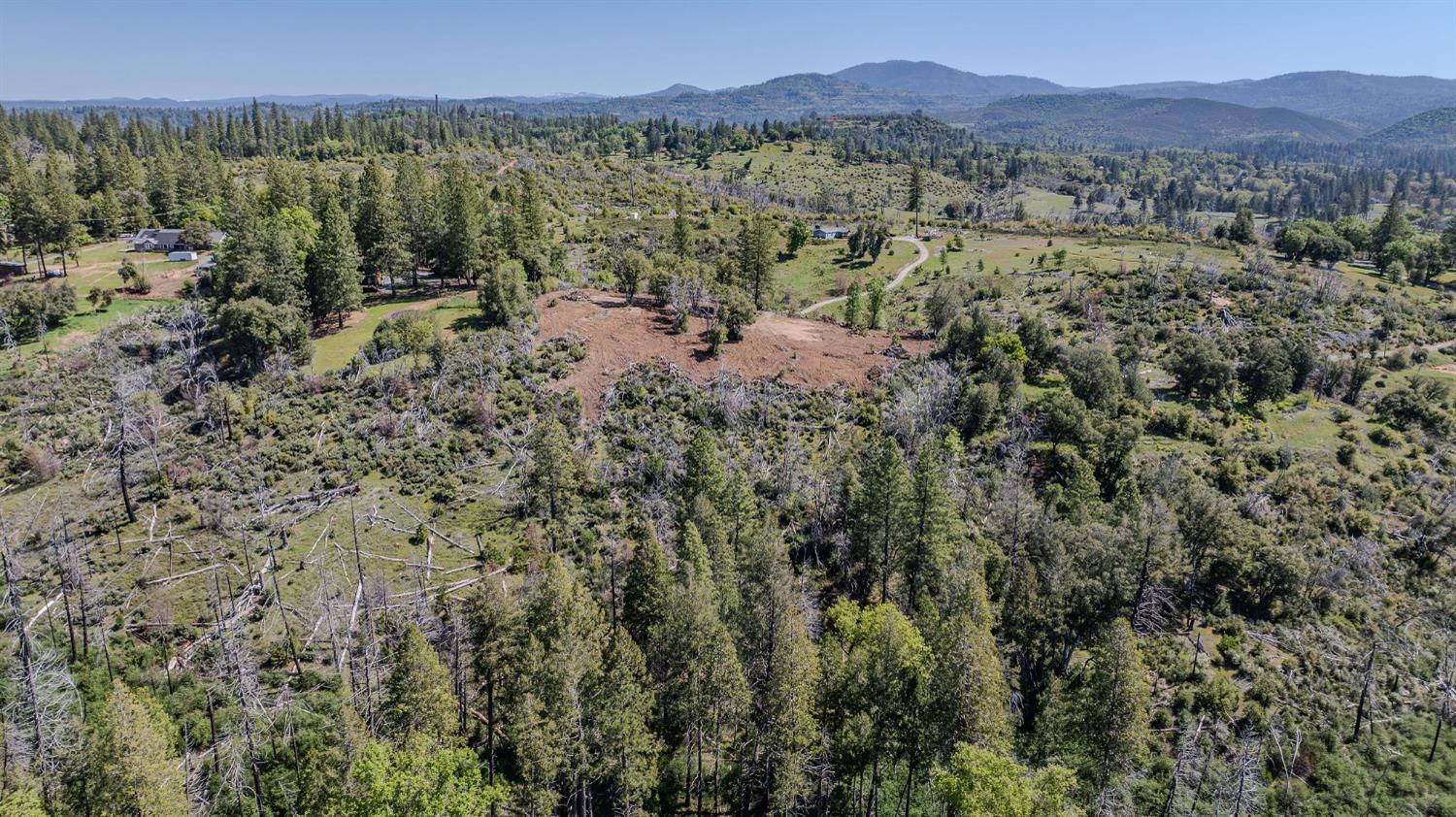 5901 Old Emigrant Trail Mountain Ranch, CA 95246 - Photo 16 of 27 a view of a forest with mountains in the background